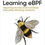 خرید و دانلود نسخه کامل کتاب Learning eBPF: Programming the Linux Kernel for Enhanced Observability, Networking, and Security