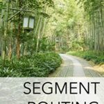 خرید و دانلود نسخه کامل کتاب Segment Routing Part II: Traffic Engineering Kindle Edition