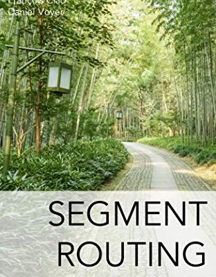 خرید و دانلود نسخه کامل کتاب Segment Routing Part II: Traffic Engineering Kindle Edition