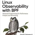 خرید و دانلود نسخه کامل کتاب Linux Observability with BPF: Advanced Programming for Performance Analysis and Networking 1st Edition