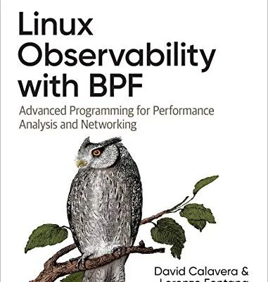 خرید و دانلود نسخه کامل کتاب Linux Observability with BPF: Advanced Programming for Performance Analysis and Networking 1st Edition