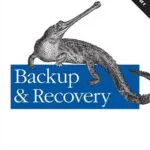 خرید و دانلود نسخه کامل کتاب زبان اصلی Backup & Recovery: Inexpensive Backup Solutions for Open Systems PDF | دانلود کتاب خارجی