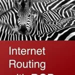 خرید و دانلود نسخه کامل کتاب Internet Routing with BGP