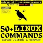 خرید و دانلود نسخه کامل کتاب 50+ Linux Commands before joining a Company (Developer Cheatsheets: Make the best 1st day impression Book 3)