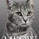 خرید و دانلود کتاب Meow (رمان میو) PDF پی دی اف