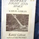 خرید و دانلود نسخه کامل کتاب Between Morn and Night:  A Special Selection (Castle books)