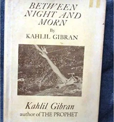 خرید و دانلود نسخه کامل کتاب Between Morn and Night:  A Special Selection (Castle books)