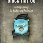 خرید و دانلود نسخه کامل کتاب Black Hat Go: Go Programming For Hackers and Pentesters