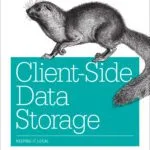 خرید و دانلود نسخه کامل کتاب Client-Side Data Storage: Keeping It Local