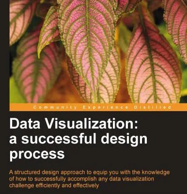 خرید و دانلود نسخه کامل کتاب Data Visualization: a successful design process: A structured design approach to equip you with the knowledge of how to successfully accomplish any data visualization challenge efficiently and effectively