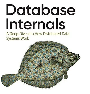 خرید و دانلود نسخه کامل کتاب Database Internals: A Deep Dive into How Distributed Data Systems Work 1st Edition