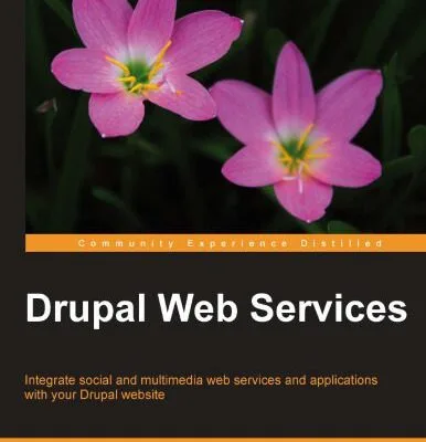 خرید و دانلود نسخه کامل کتاب Drupal Web Services