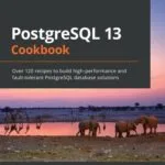خرید و دانلود نسخه کامل کتاب PostgreSQL 13 Cookbook: Over 120 recipes to build high-performance and fault-tolerant PostgreSQL database solutions