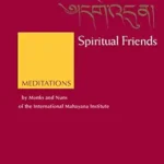 خرید و دانلود نسخه کامل کتاب زبان اصلی Spiritual Friends: Meditations by Monks and Nuns of the International Mahayana Institute PDF | دانلود کتاب خارجی