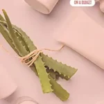 خرید و دانلود نسخه کامل کتاب زبان اصلی Natural Beauty on a Budget PDF | دانلود کتاب خارجی