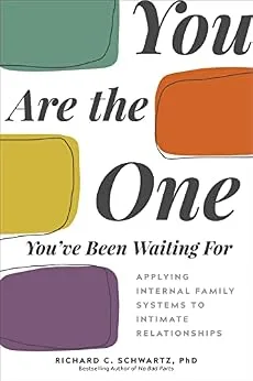 خرید و دانلود نسخه کامل کتاب زبان اصلی You Are the One You’ve Been Waiting For: Applying Internal Family Systems to Intimate Relationships PDF | دانلود کتاب خارجی