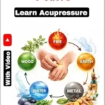 خرید و دانلود نسخه کامل کتاب زبان اصلی 60 Commanding Points (holistic healing) PDF | دانلود کتاب خارجی