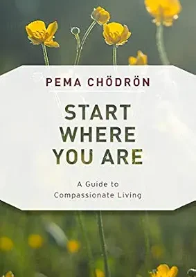 خرید و دانلود نسخه کامل کتاب زبان اصلی Start Where You Are: A Guide to Compassionate Living (Shambhala Classics) PDF | دانلود کتاب خارجی
