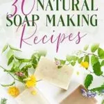 خرید و دانلود نسخه کامل کتاب زبان اصلی 30 Natural Soap Making Recipes: Rejuvenate Your Skin – A Beginner’s Guide to Ingredients, Processes and Troubleshooting PDF | دانلود کتاب خارجی