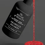 خرید و دانلود نسخه کامل کتاب زبان اصلی The House of Beauty: Lessons from the Image Industry PDF | دانلود کتاب خارجی