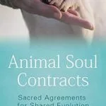 خرید و دانلود نسخه کامل کتاب زبان اصلی Animal Soul Contracts: Sacred Agreements for Shared Evolution PDF | دانلود کتاب خارجی