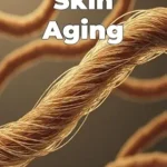 خرید و دانلود نسخه کامل کتاب زبان اصلی Skin Aging PDF | دانلود کتاب خارجی