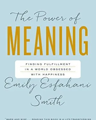 خرید و دانلود نسخه کامل کتاب زبان اصلی The Power of Meaning: Finding Fulfillment in a World Obsessed with Happiness Kindle Edition PDF | دانلود کتاب خارجی