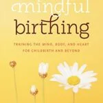 خرید و دانلود نسخه کامل کتاب زبان اصلی Mindful Birthing: Training the Mind, Body, and Heart for Childbirth and Beyond Kindle Edition PDF | دانلود کتاب خارجی