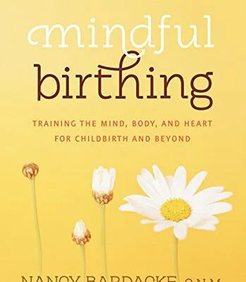 خرید و دانلود نسخه کامل کتاب زبان اصلی Mindful Birthing: Training the Mind, Body, and Heart for Childbirth and Beyond Kindle Edition PDF | دانلود کتاب خارجی