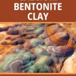 خرید و دانلود نسخه کامل کتاب زبان اصلی Calcium Bentonite Clay: Nature’s Pathway to Healing Balance, Detox, Stimulate, Alkalize PDF | دانلود کتاب خارجی