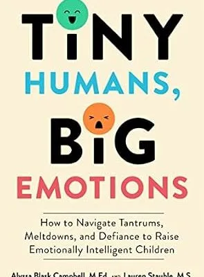 خرید و دانلود نسخه کامل کتاب زبان اصلی Tiny Humans, Big Emotions: How to Navigate Tantrums, Meltdowns, and Defiance to Raise Emotionally Intelligent Children—An Essential Guide for Caregivers of Children from Infancy to Age Eight PDF | دانلود کتاب خارجی