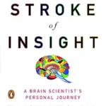 خرید و دانلود نسخه کامل کتاب زبان اصلی My Stroke of Insight: A Brain Scientist’s Personal Journey PDF | دانلود کتاب خارجی