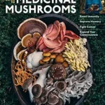 خرید و دانلود نسخه کامل کتاب زبان اصلی Christopher Hobbs’s Medicinal Mushrooms: The Essential Guide: Boost Immunity, Improve Memory, Fight Cancer, Stop Infection, and Expand Your Consciousness PDF | دانلود کتاب خارجی