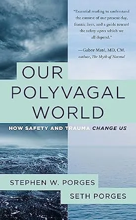 خرید و دانلود نسخه کامل کتاب زبان اصلی Our Polyvagal World: How Safety and Trauma Change Us PDF | دانلود کتاب خارجی_6ab194bcf2417.jpeg خرید و دانلود نسخه کامل کتاب زبان اصلی Our Polyvagal World: How Safety and Trauma Change Us PDF | دانلود کتاب خارجی