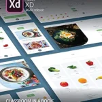 خرید و دانلود نسخه کامل کتاب زبان اصلی Adobe XD Classroom in a Book (2020 release) PDF | دانلود کتاب خارجی