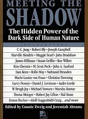 خرید و دانلود نسخه کامل کتاب زبان اصلی Meeting the Shadow PDF | دانلود کتاب خارجی