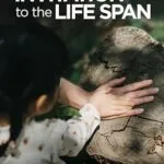 خرید و دانلود نسخه کامل کتاب زبان اصلی Invitation to the Life Span PDF | دانلود کتاب خارجی