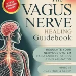 خرید و دانلود نسخه کامل کتاب زبان اصلی The Vagus Nerve Healing Guidebook: 4 Week Program to Regulate Your Nervous System – Calm Inflammation, Anxiety & Stress, Improve Digestion & Sleep with Simple, Science Backed Exercises for Daily Life | دانلود کتاب خارجی