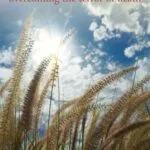 خرید و دانلود نسخه کامل کتاب زبان اصلی Staring at the Sun: Overcoming the Terror of Death Kindle Edition PDF | دانلود کتاب خارجی