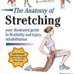 خرید و دانلود نسخه کامل کتاب زبان اصلی The Anatomy of Stretching, Second Edition: Your Illustrated Guide to Flexibility and Injury Rehabilitation | دانلود کتاب خارجی