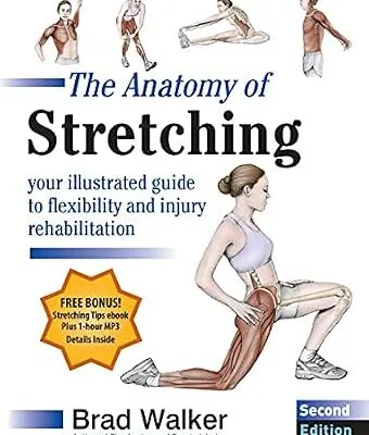 خرید و دانلود نسخه کامل کتاب زبان اصلی The Anatomy of Stretching, Second Edition: Your Illustrated Guide to Flexibility and Injury Rehabilitation | دانلود کتاب خارجی