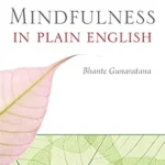 خرید و دانلود نسخه کامل کتاب زبان اصلی Mindfulness in Plain English: 20th Anniversary Edition PDF | دانلود کتاب خارجی