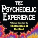 خرید و دانلود نسخه کامل کتاب زبان اصلی The Psychedelic Experience PDF | دانلود کتاب خارجی