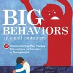 خرید و دانلود نسخه کامل کتاب زبان اصلی Big Behaviors in Small Containers: 131 Trauma-Informed Play Therapy Interventions for Disorders of Dysregulation Kindle Edition PDF | دانلود کتاب خارجی