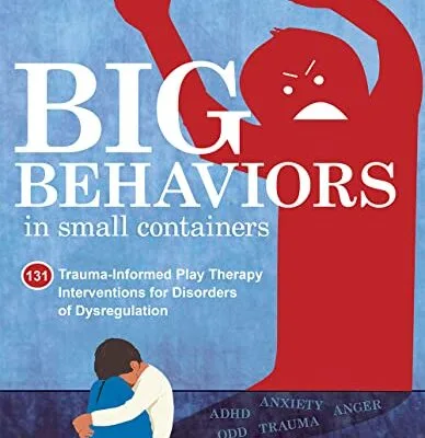 خرید و دانلود نسخه کامل کتاب زبان اصلی Big Behaviors in Small Containers: 131 Trauma-Informed Play Therapy Interventions for Disorders of Dysregulation Kindle Edition PDF | دانلود کتاب خارجی