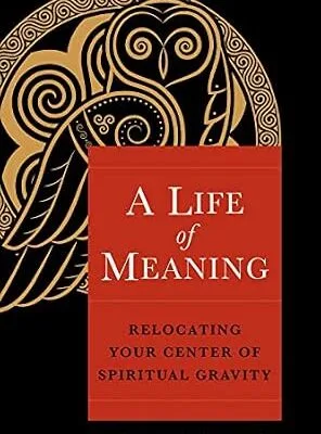 خرید و دانلود نسخه کامل کتاب زبان اصلی A Life of Meaning: Relocating Your Center of Spiritual Gravity PDF | دانلود کتاب خارجی