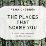 خرید و دانلود نسخه کامل کتاب زبان اصلی The Places That Scare You: A Guide to Fearlessness in Difficult Times (Shambhala Classics) Kindle Edition PDF | دانلود کتاب خارجی