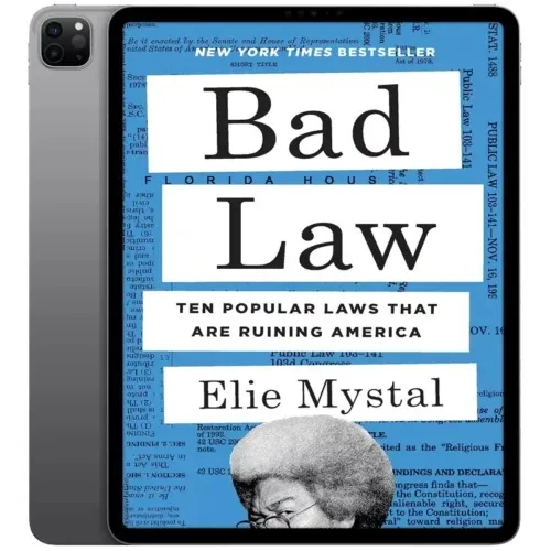 Bad-Law-500x500-1 خرید و دانلود نسخه کامل کتاب انگلیسی Bad Law 2025 | رمان انگلیسی | کتاب PDF خارجی | رمان خارجی | یادگیری زبان انگلیسی - تصویر 1