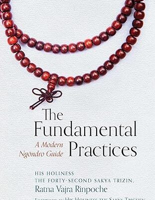 خرید و دانلود نسخه کامل کتاب The Fundamental Practices: A Modern Ngondro Guide –  +  Pdf