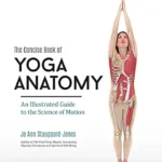 خرید و دانلود نسخه کامل کتاب زبان اصلی The Concise Book of Yoga Anatomy: An Illustrated Guide to the Science of Motion | دانلود کتاب خارجی